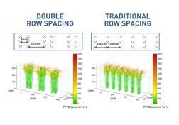 New 3D Model Predicts Best Planting Practices For Farmers